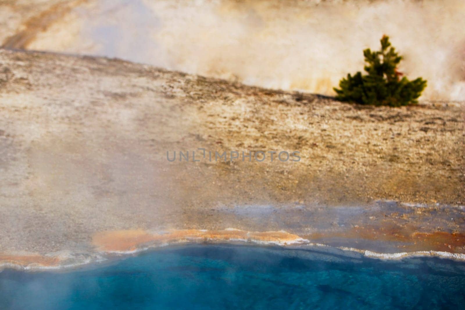 Steam emerging from a geyser, Old Faithful, Yellowstone National Park, Wyoming, USA