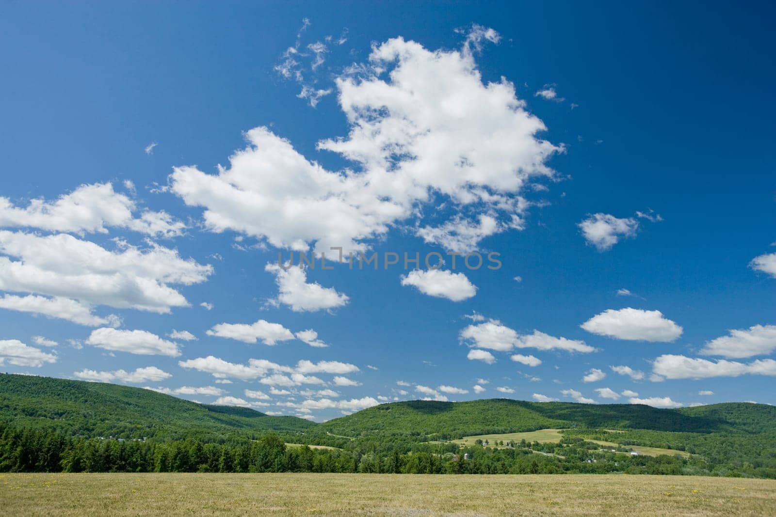 Panoramic view of a landscape