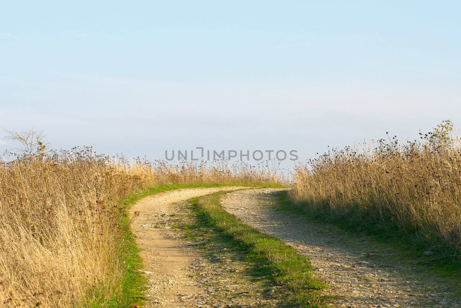 Dirt road passing through a landscape