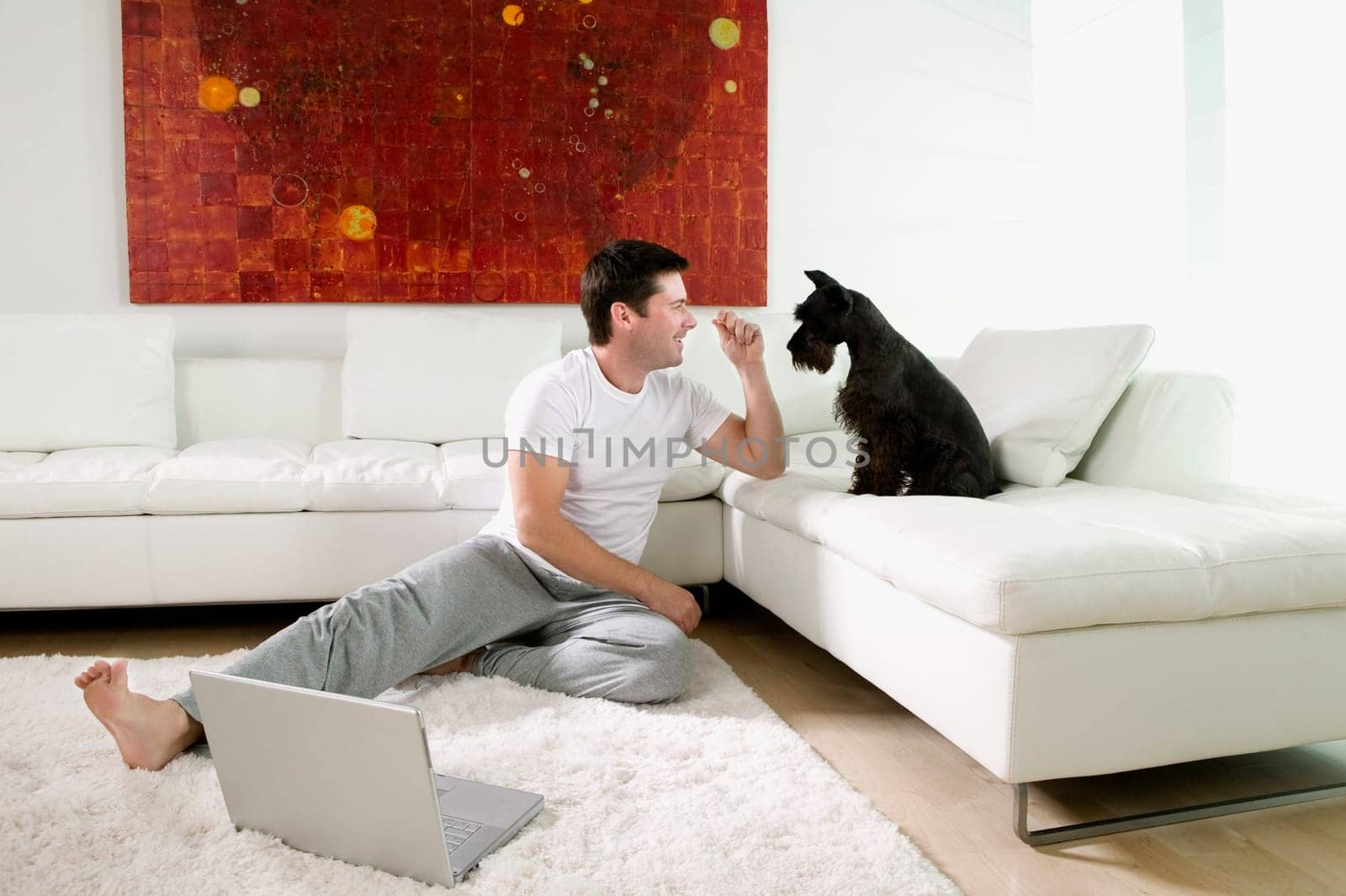 Mid adult man sitting on rug and playing with dog