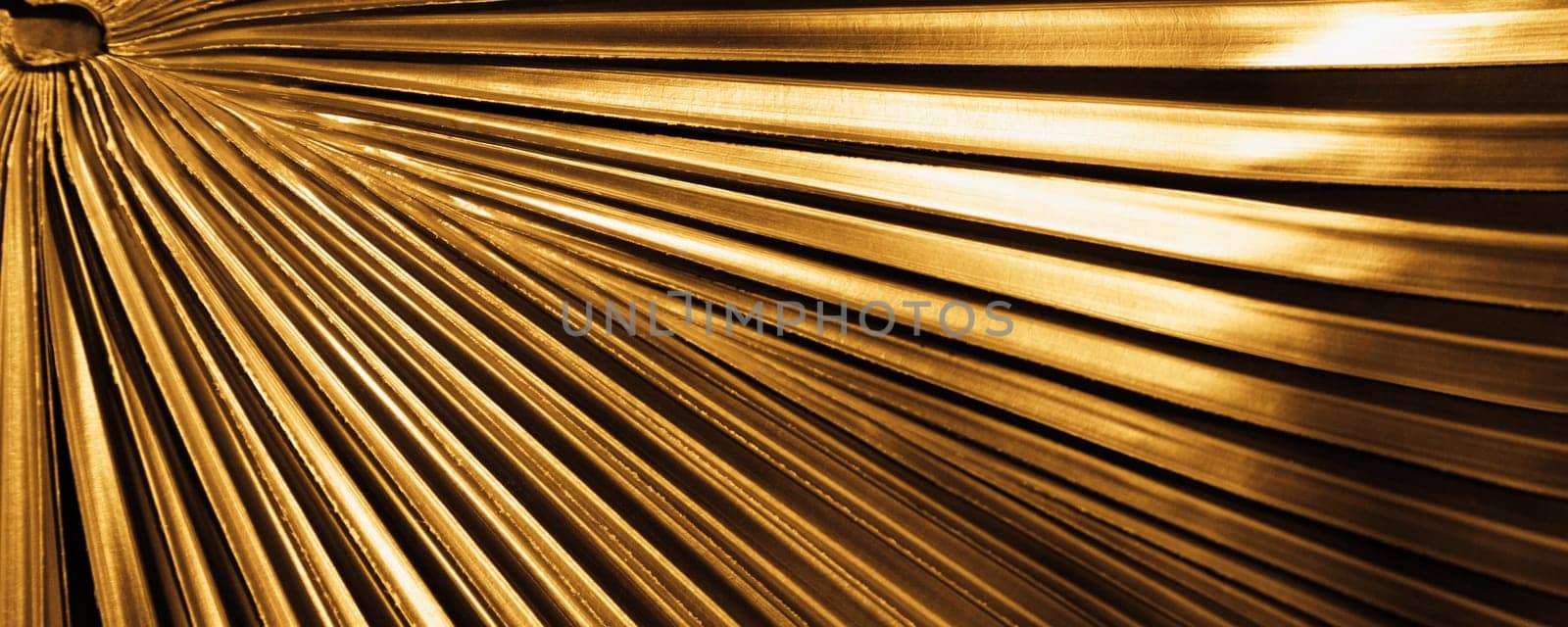 Close_up of a palm leaf