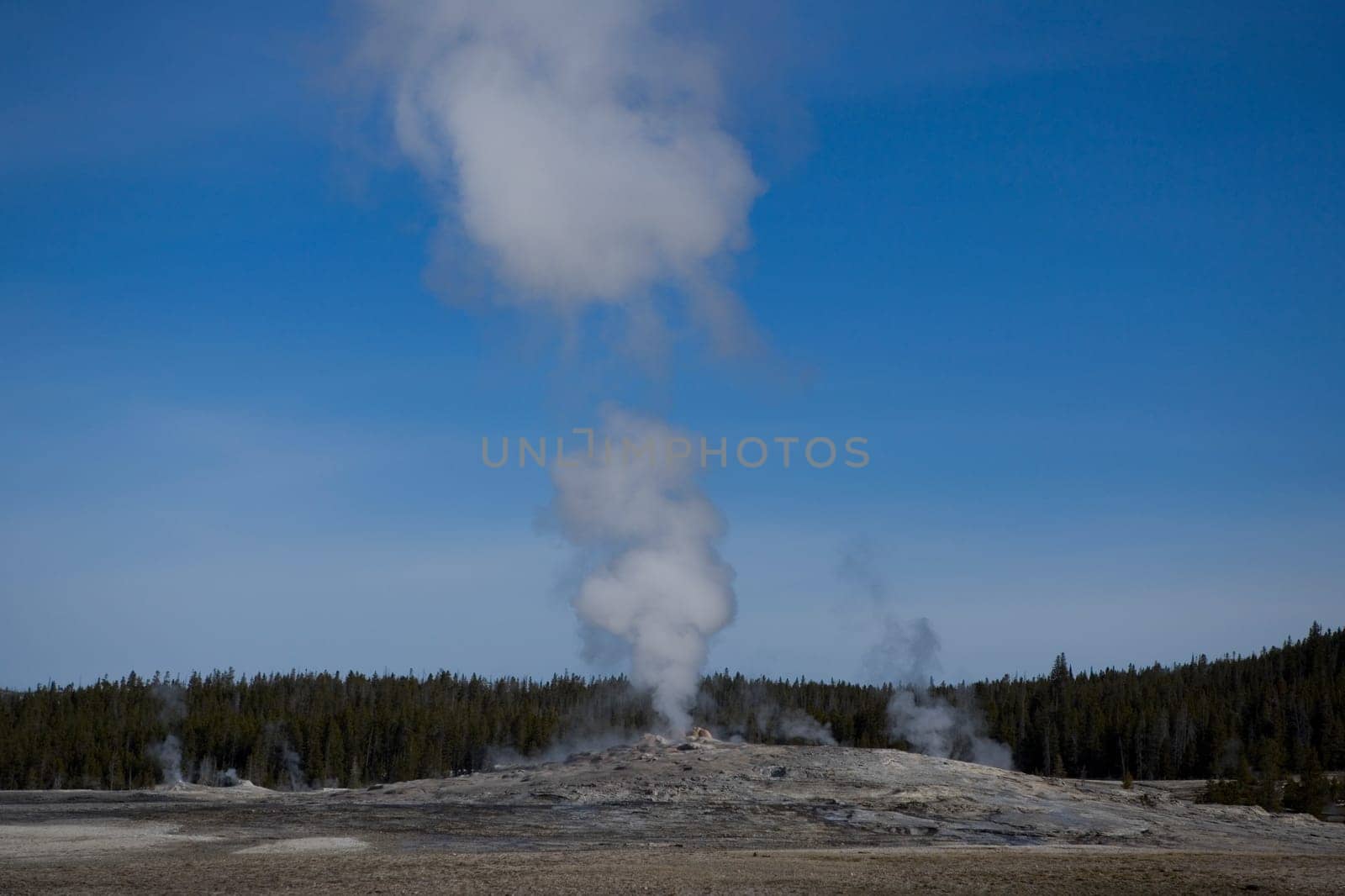 Steam emerging from a geyser, Old Faithful, Yellowstone National Park, Wyoming, USA