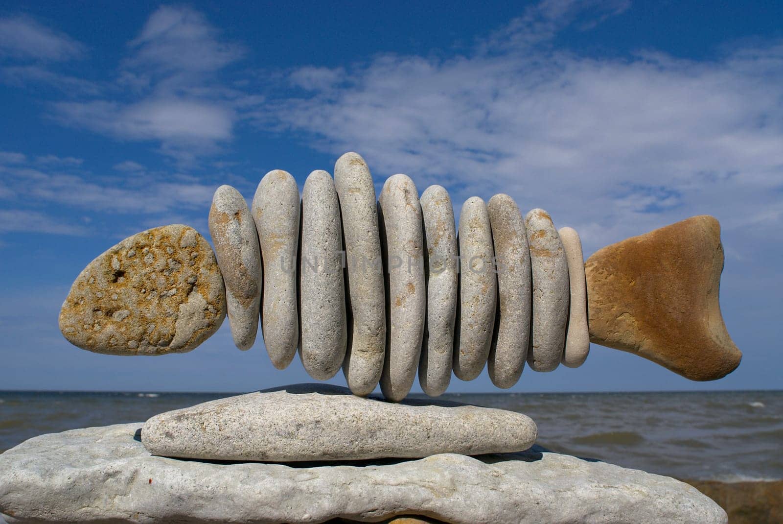 Pebbles arranged in a fish shape