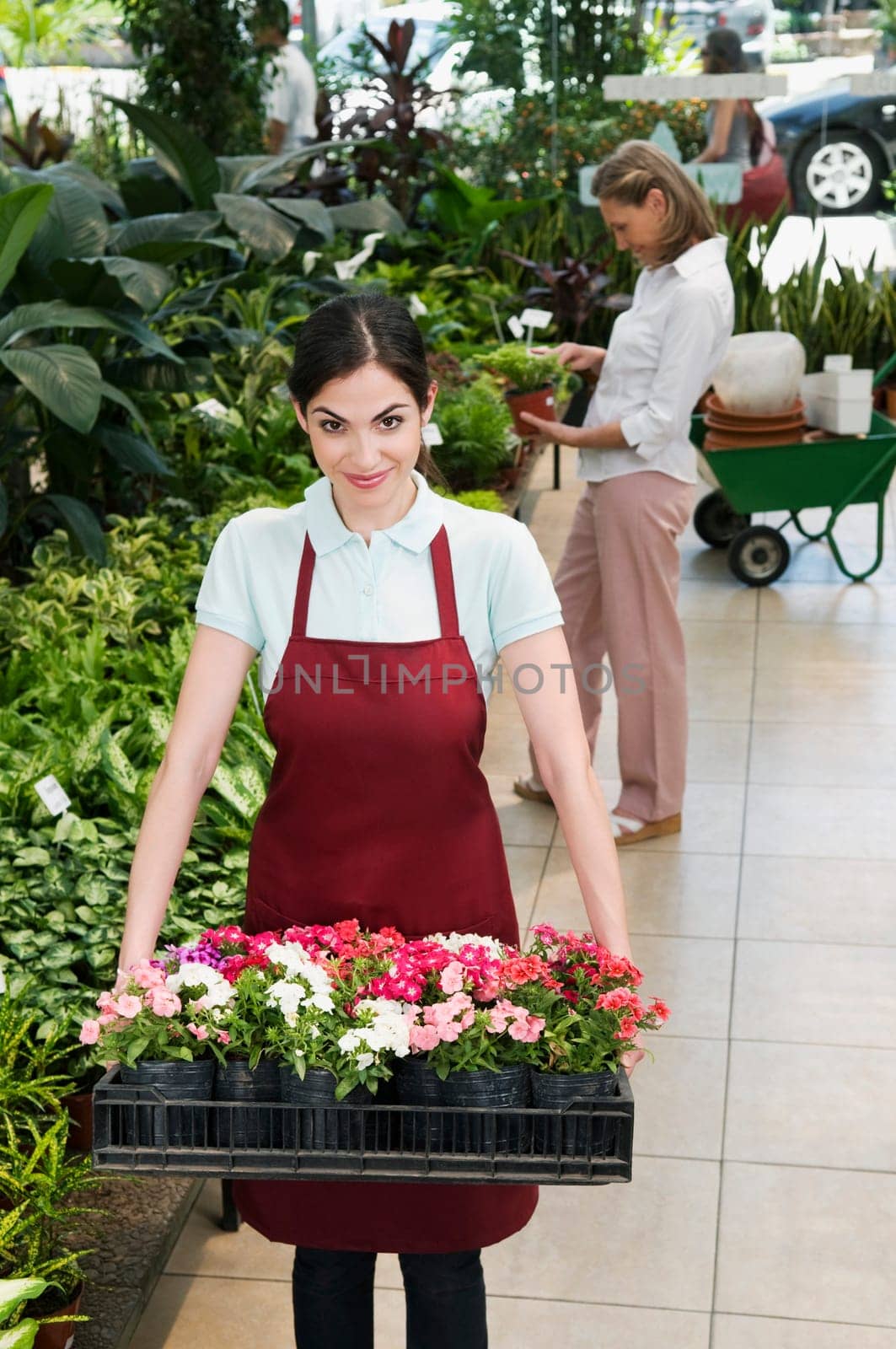 Woman carrying a tray of plants