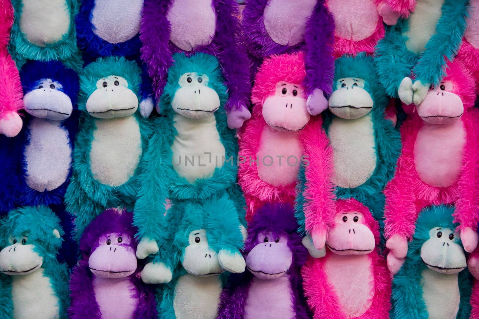 Close_up of monkey plush toys at a market stall, Santa Monica, Los Angeles County, California, USA