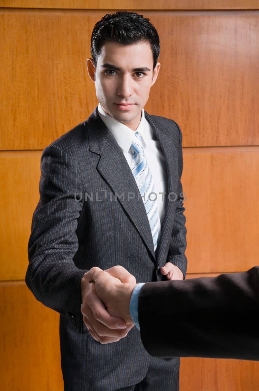 Portrait of a businessman shaking hand with another businessman