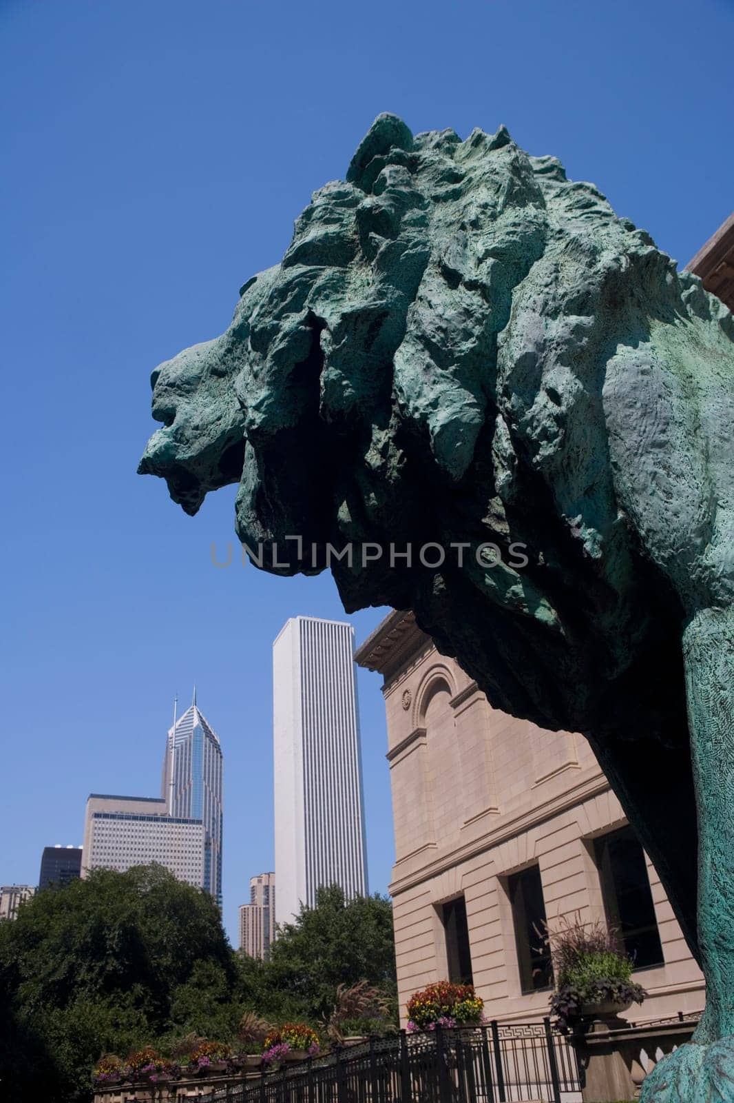 Statue of lion outside an art museum, Art Institute of Chicago, Chicago, Illinois, USA