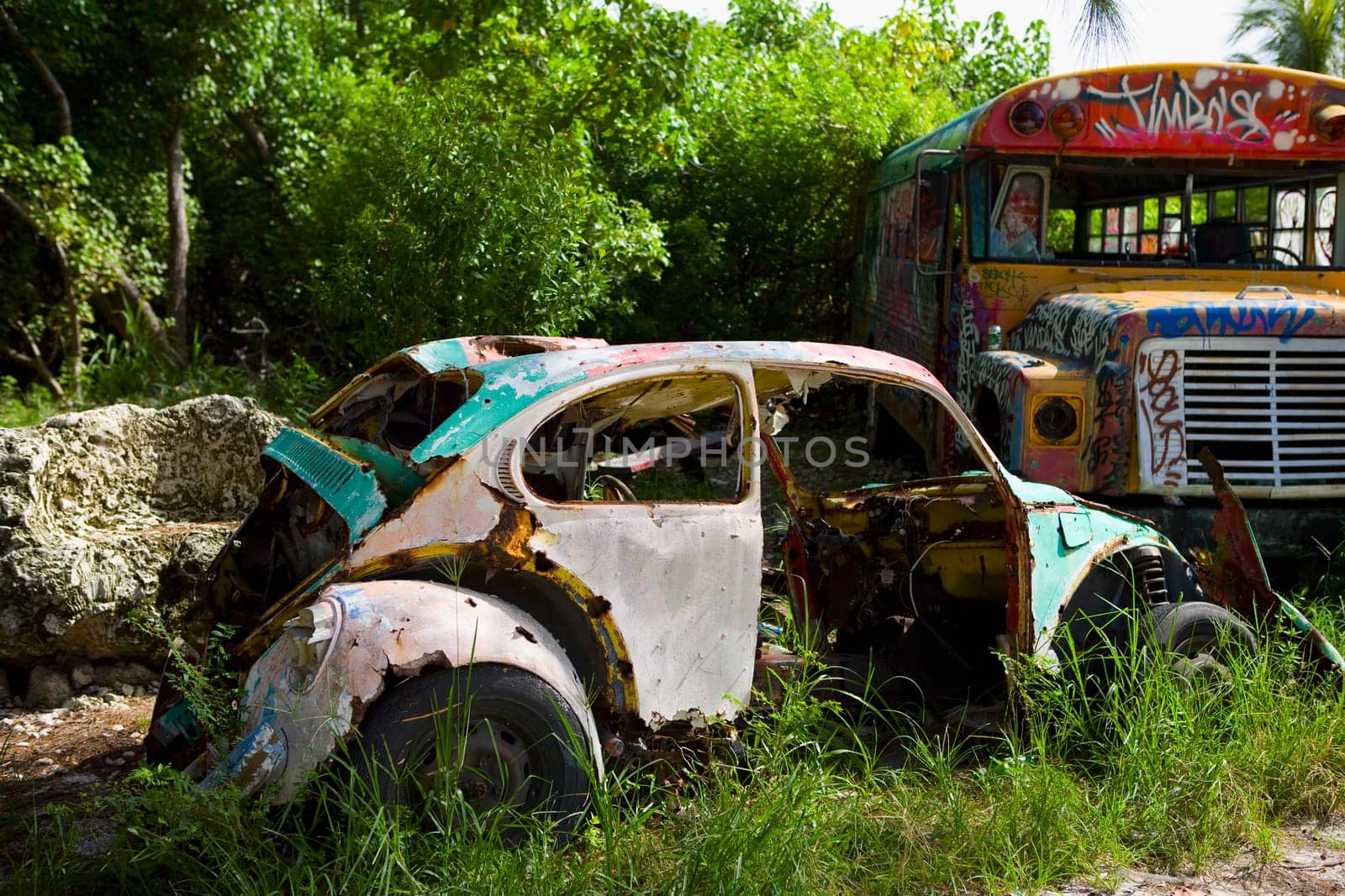 Abandoned car and a truck in a field, Virginia Key, Miami_Dade County, Florida, USA