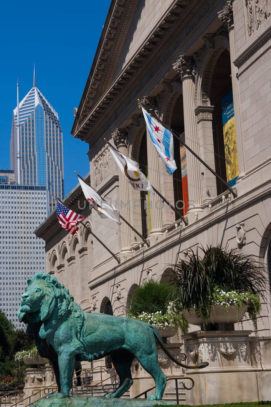 Lion statue in front of a building, Art Institute Of Chicago, Chicago, Illinois, USA