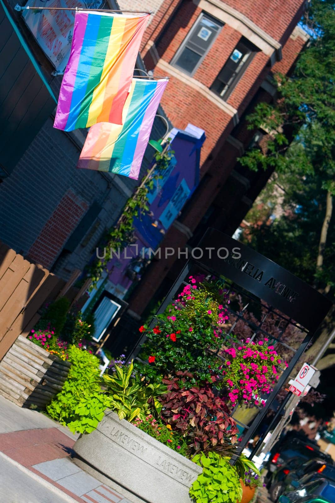 Gay pride flags on a building, Boys Town, Chicago, Illinois, USA
