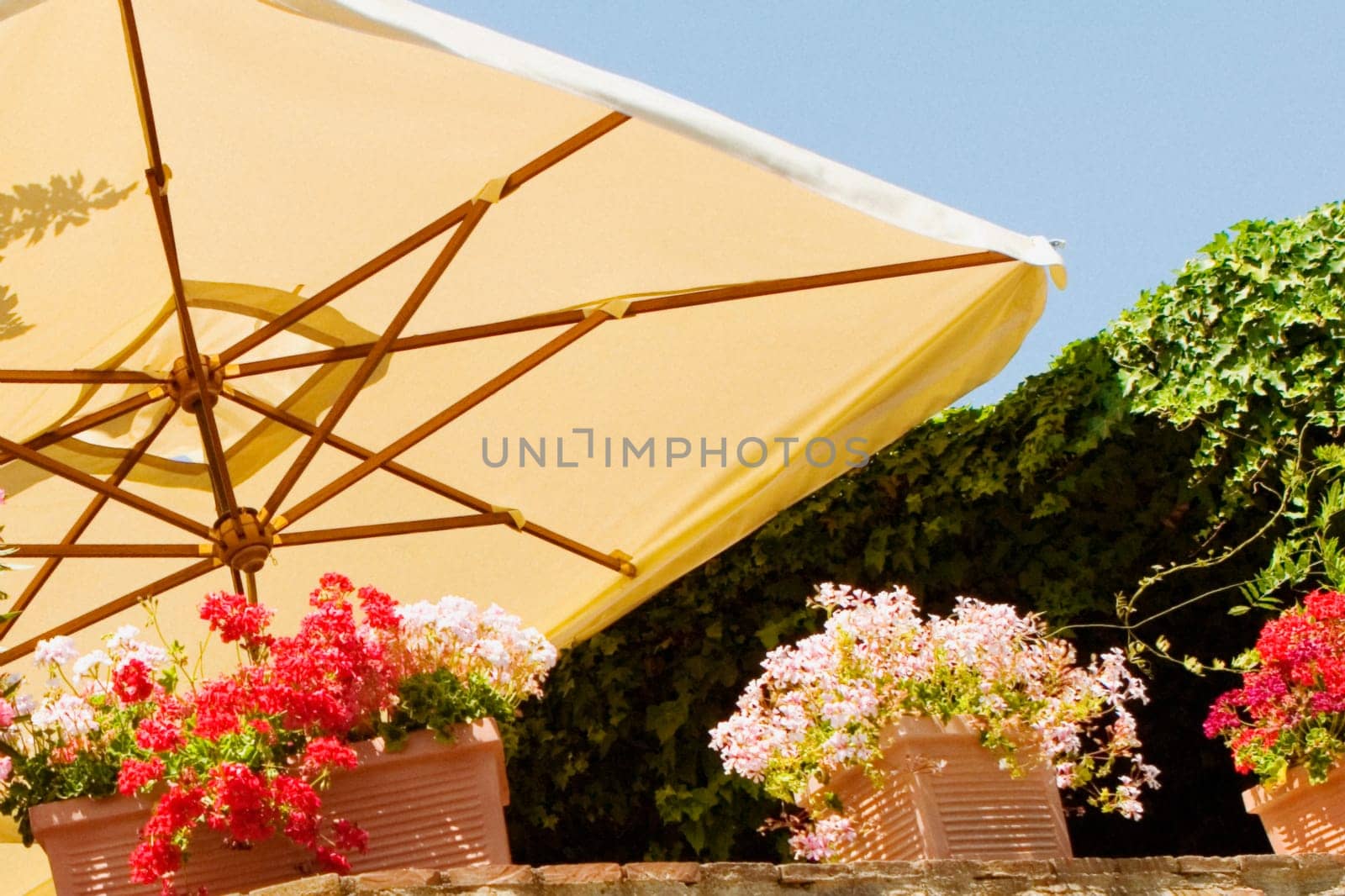 Low angle view of potted plants, Siena Province, Tuscany, Italy