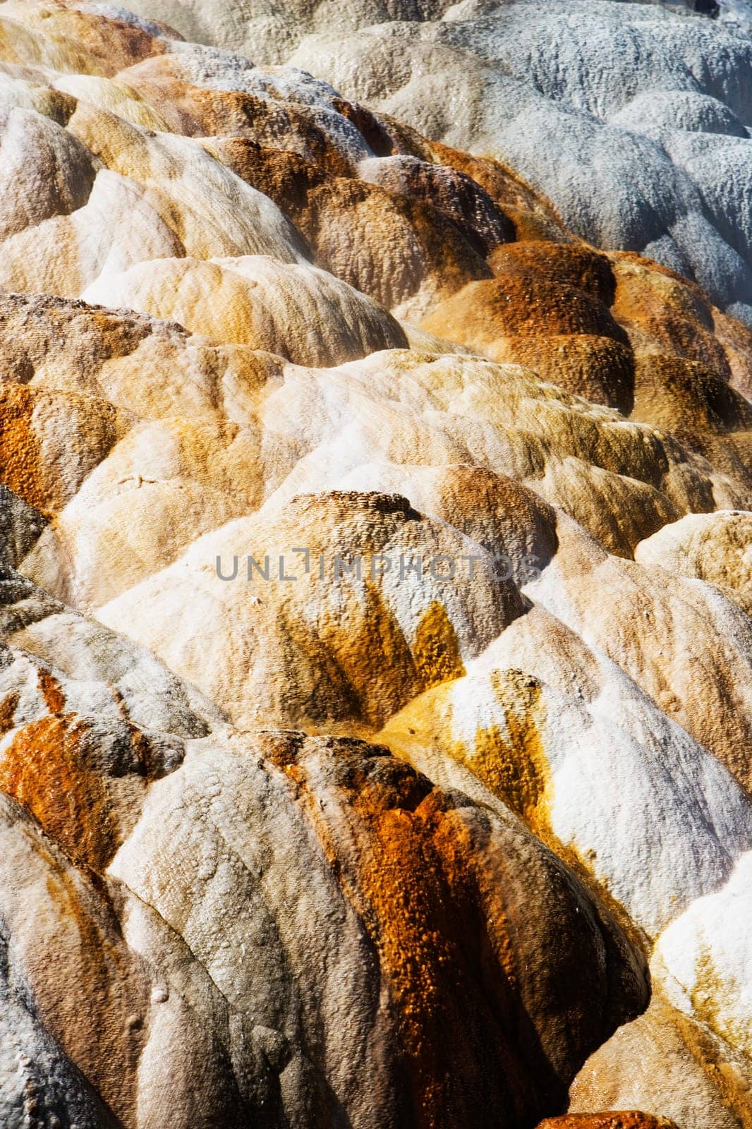 Calcium carbonate formation at a hot spring, Mammoth Hot Springs, Yellowstone National Park, Wyoming, USA