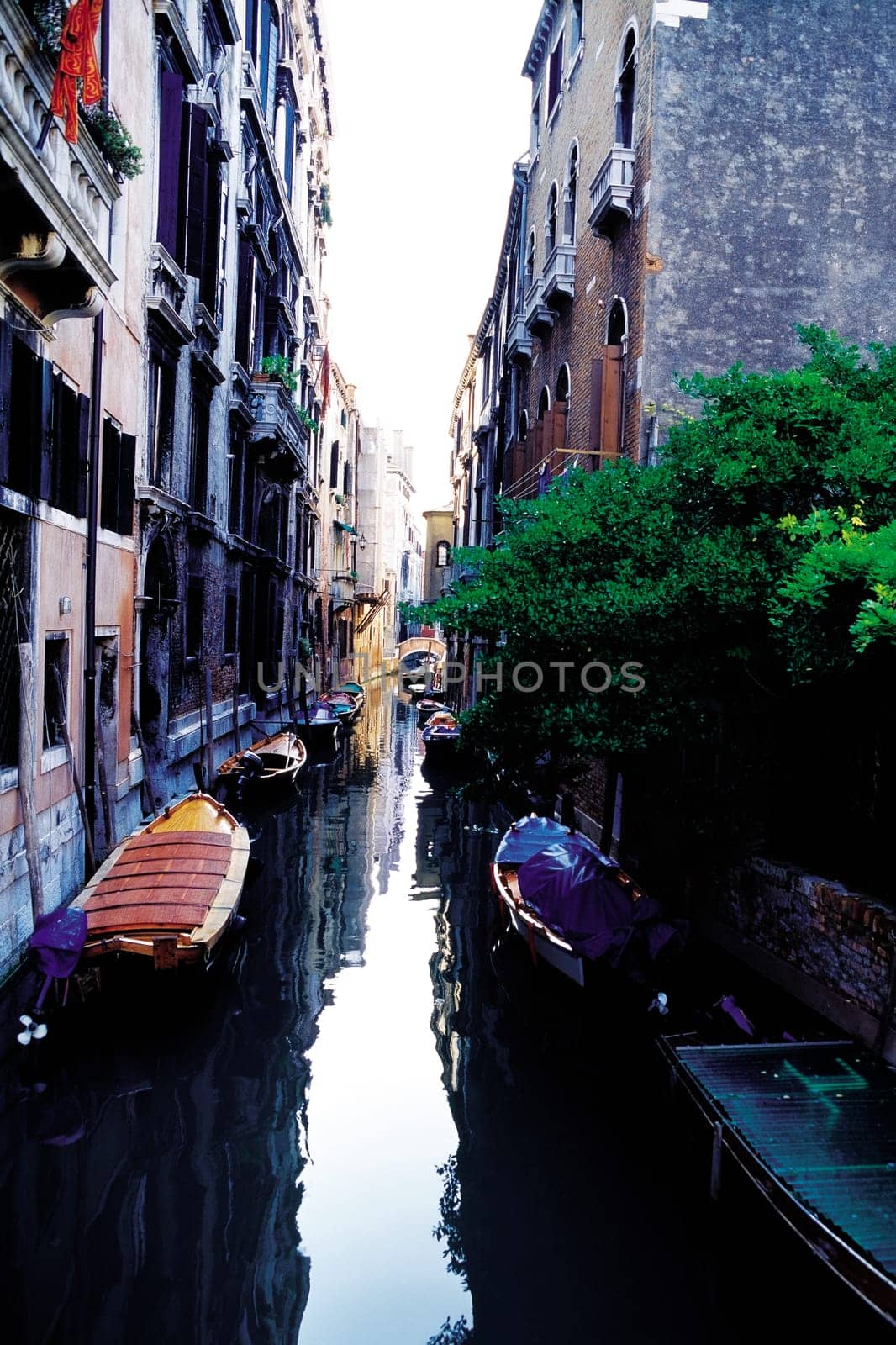 Boats in a canal, Grand Canal, Venice, Veneto, Italy