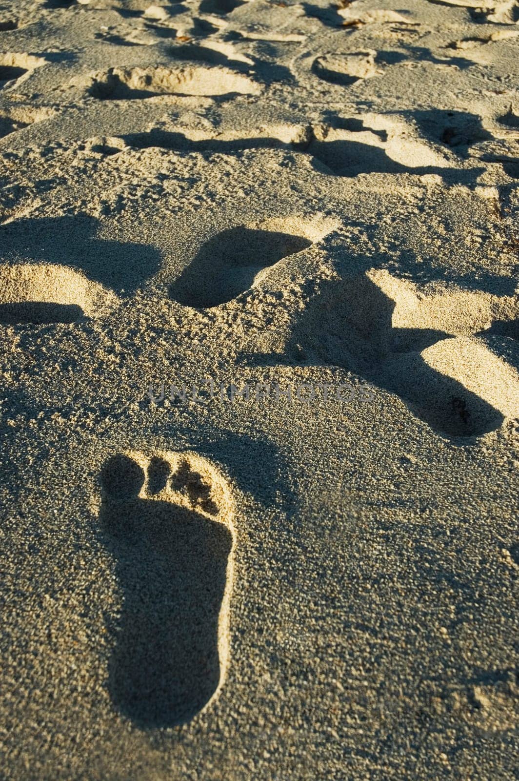 High angle view of footprints on the beach