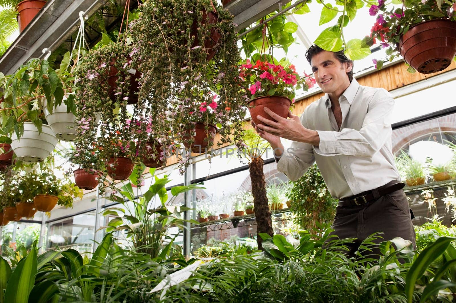 Man holding a potted plant in a greenhouse