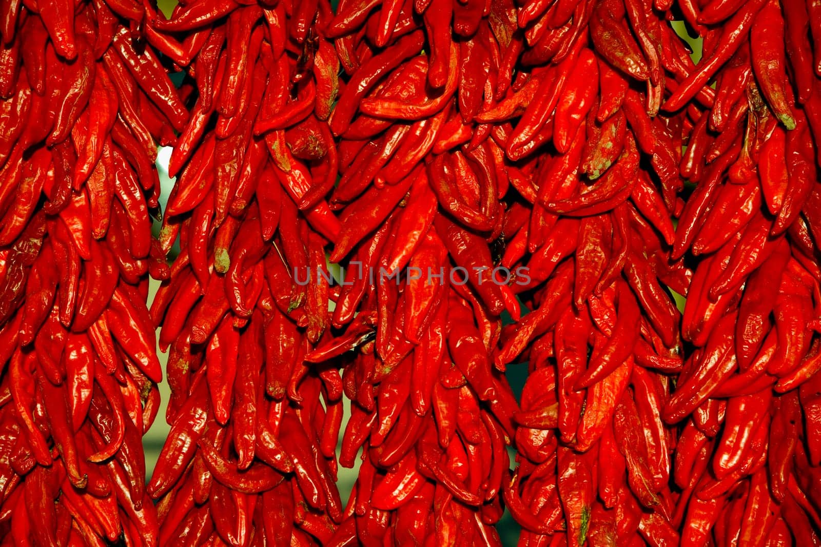 Strands of red chili peppers at a farmerŽs market