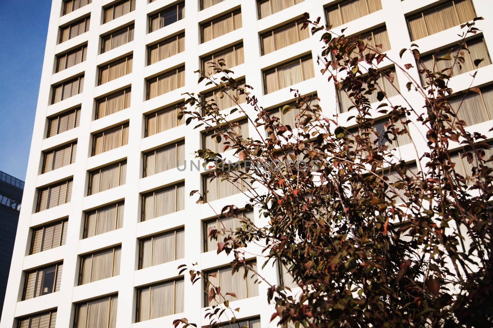 Low angle view of a building