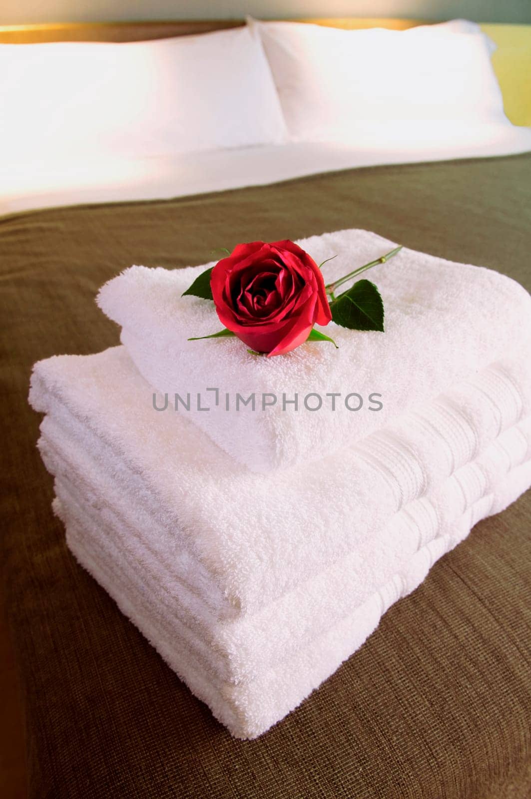 Flower on a stack of towels
