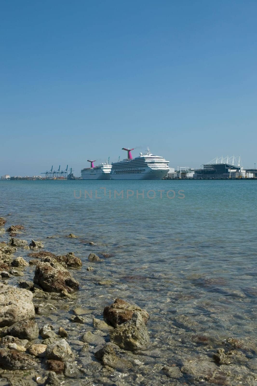 Ships docked at a port, Port of Miami_dade, Miami, Miami_Dade County, Florida, USA