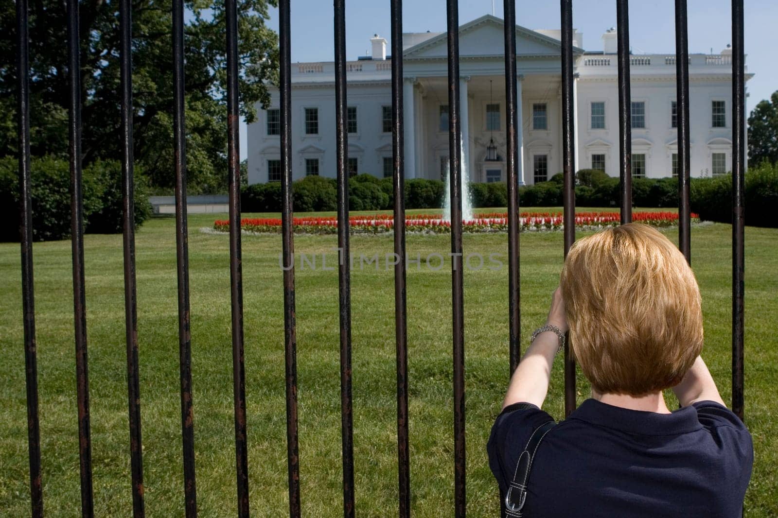 Rear view of a woman looking at a government building, White House, Washington DC, USA