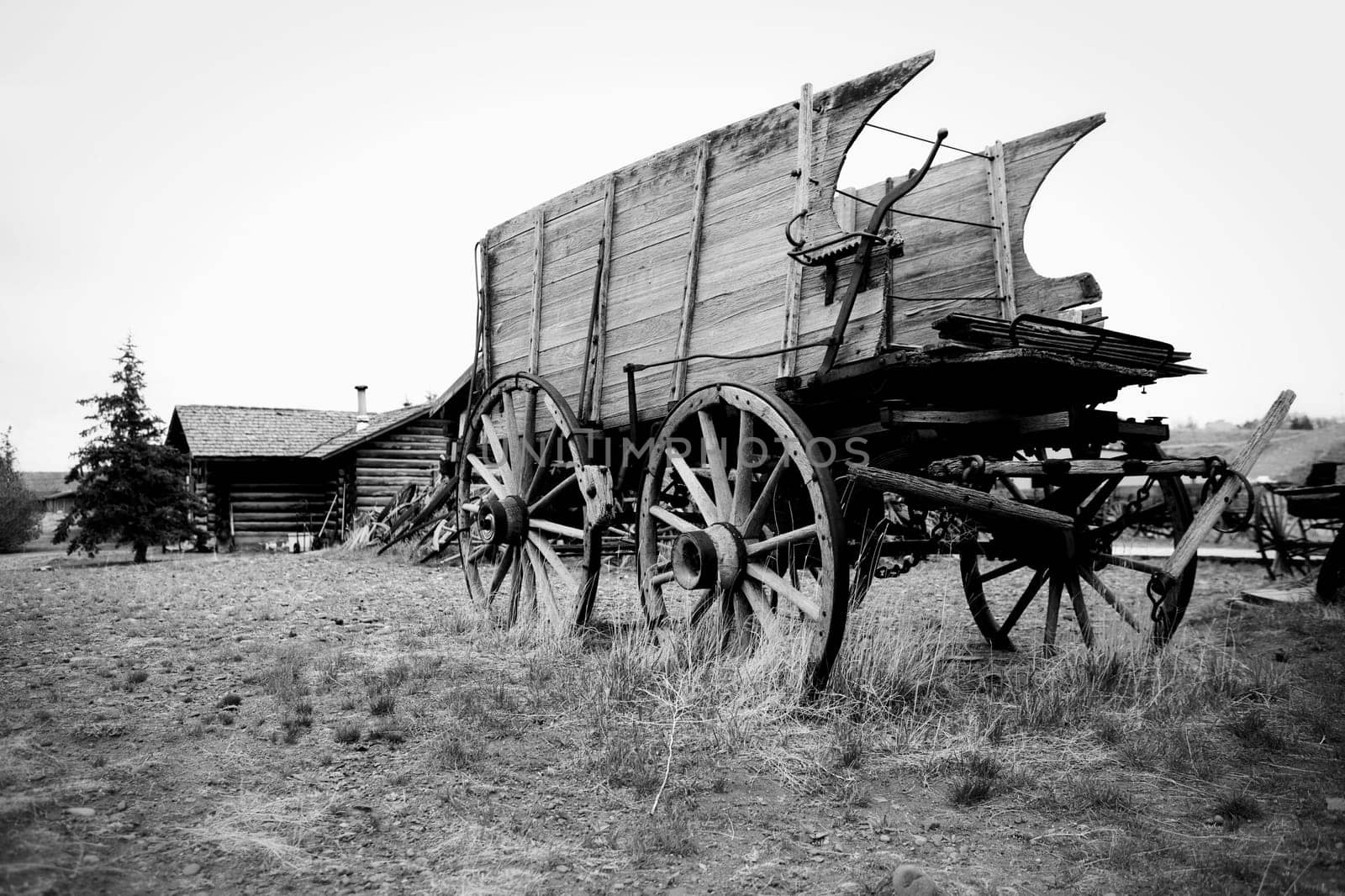 Abandoned horse carts in a grassy field, Old Trail Town, Cody, Wyoming, USA