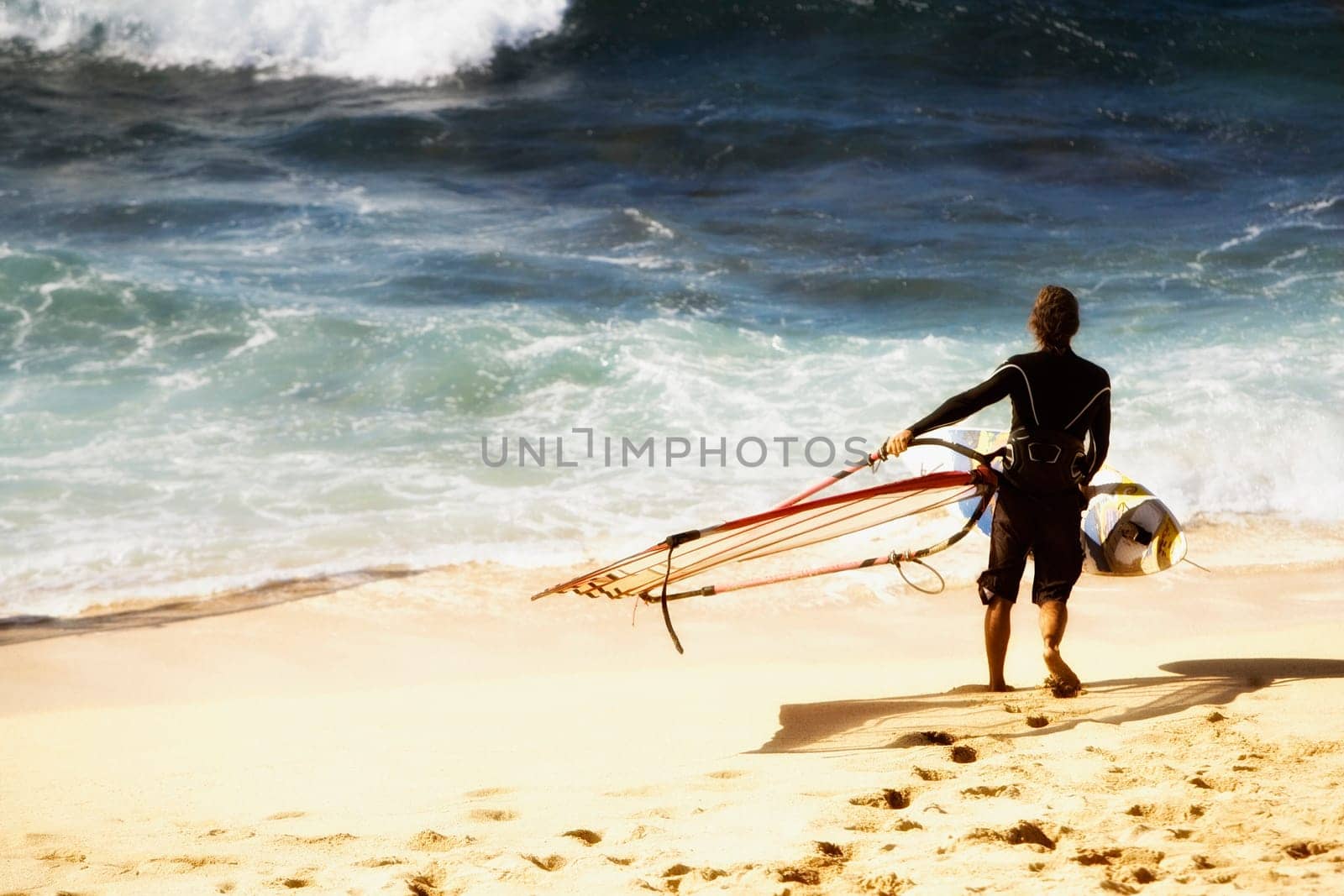 Rear view of a man carrying a windsurfing board on the beach, Hookipa Beach, Maui, Hawaii, USA