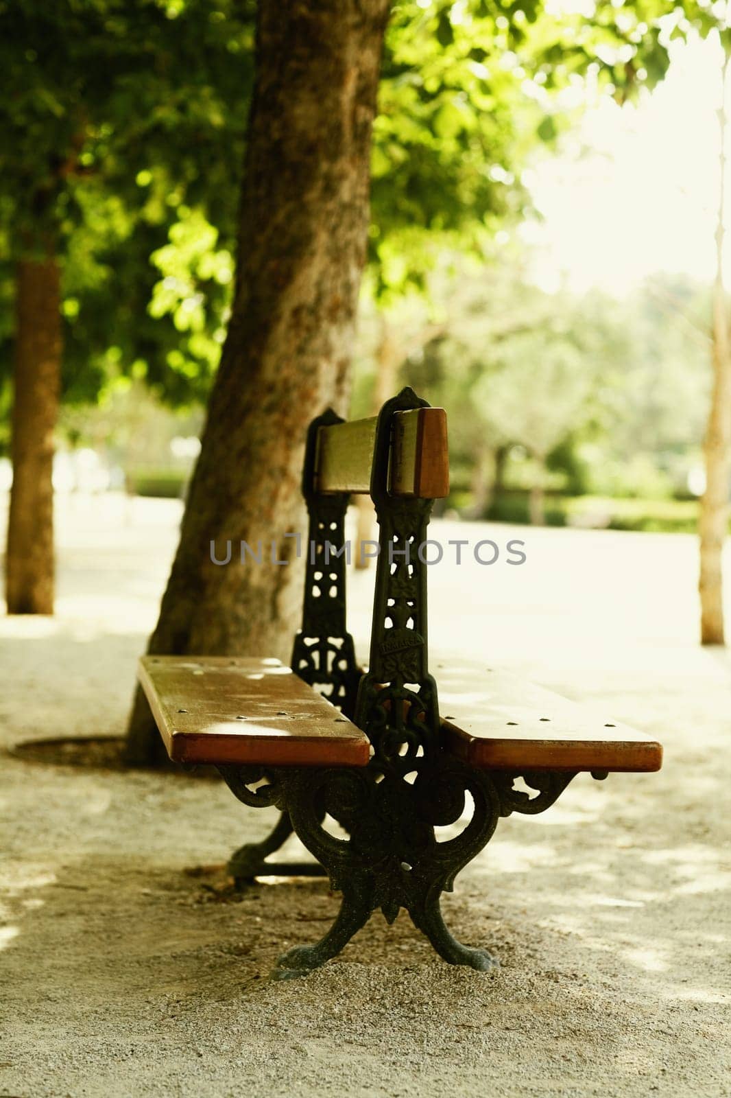 Empty bench in a park, Madrid, Spain