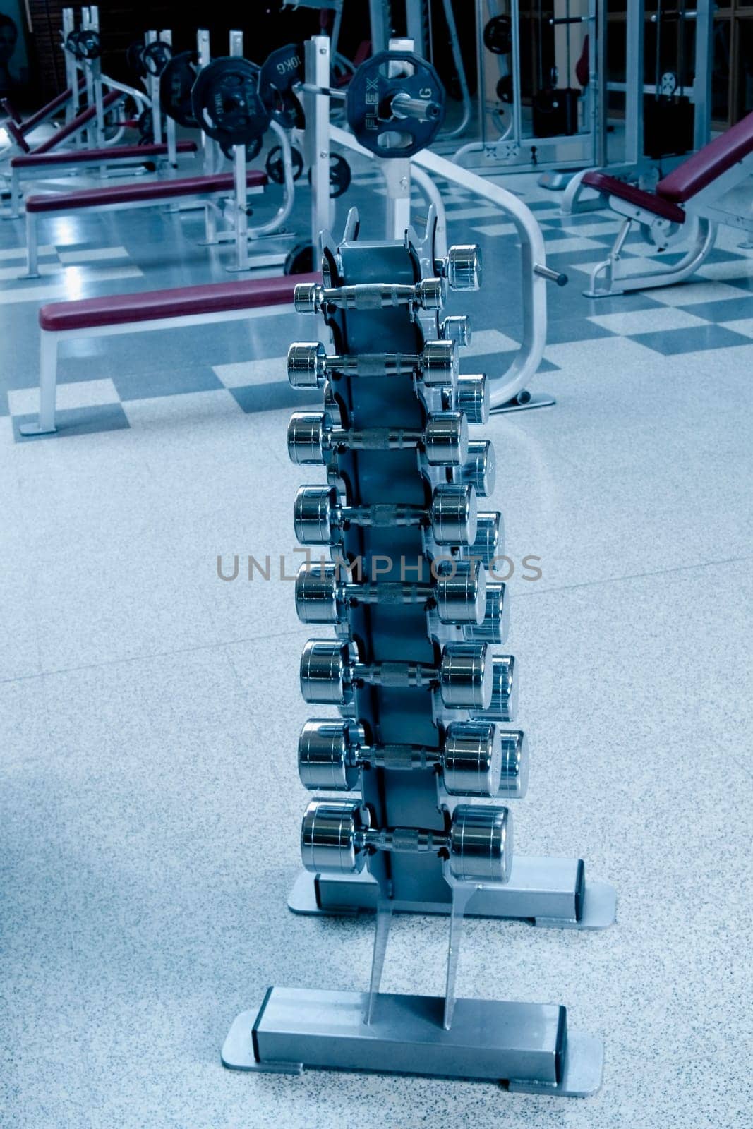 Dumbbells on a rack in a gym