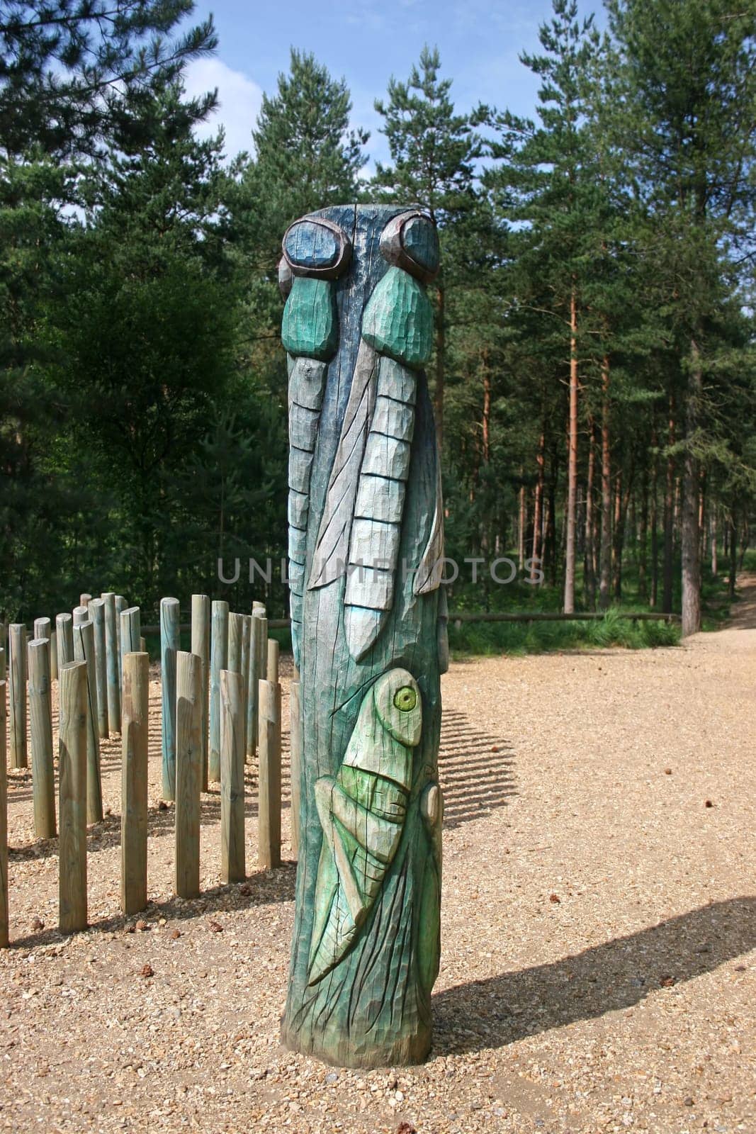 A total pole with a cricket and flies in the forest