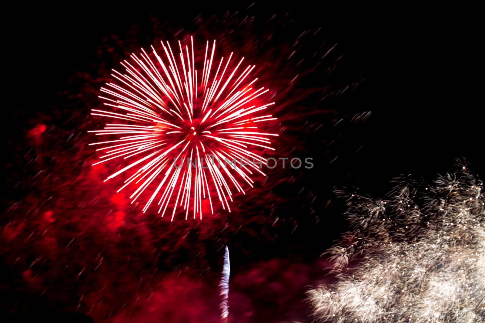 Colourful multiple fireworks in the night sky