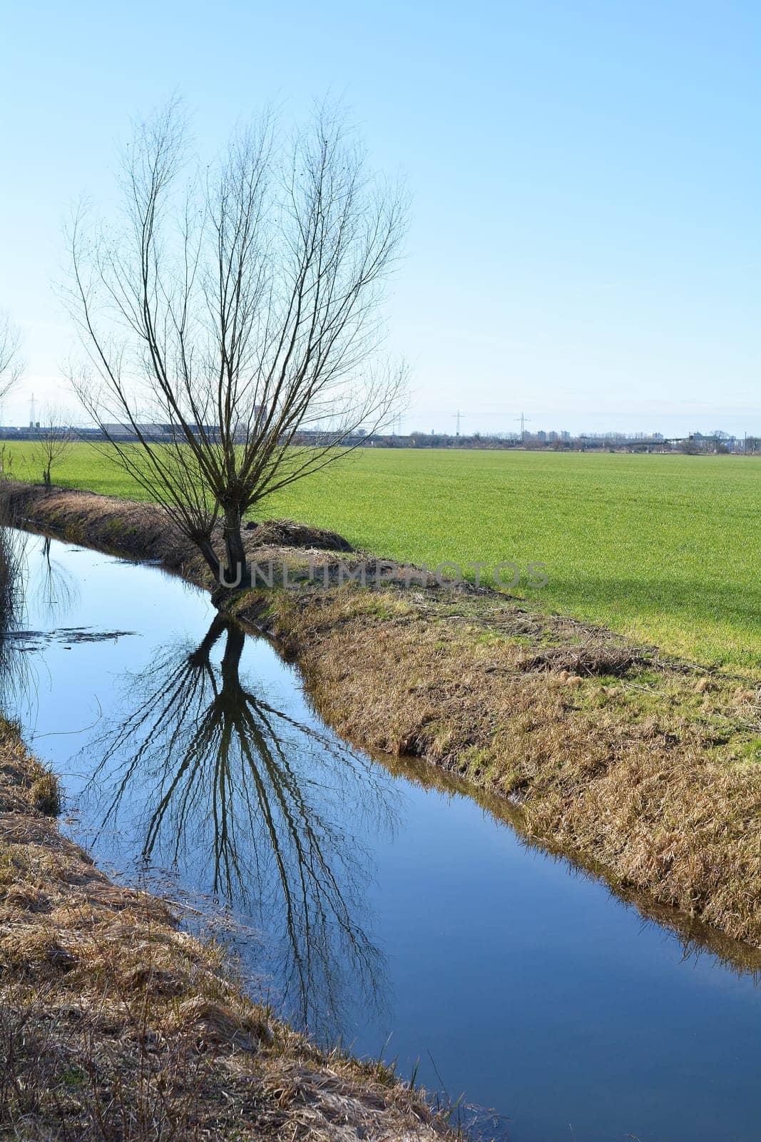 Pasture on the banks of a river in spring with reflection in the water