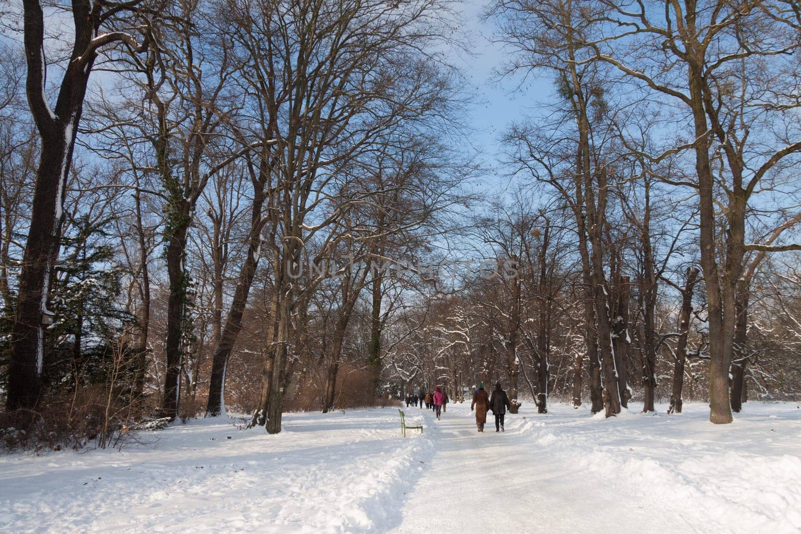 Park in the snow with passers-by