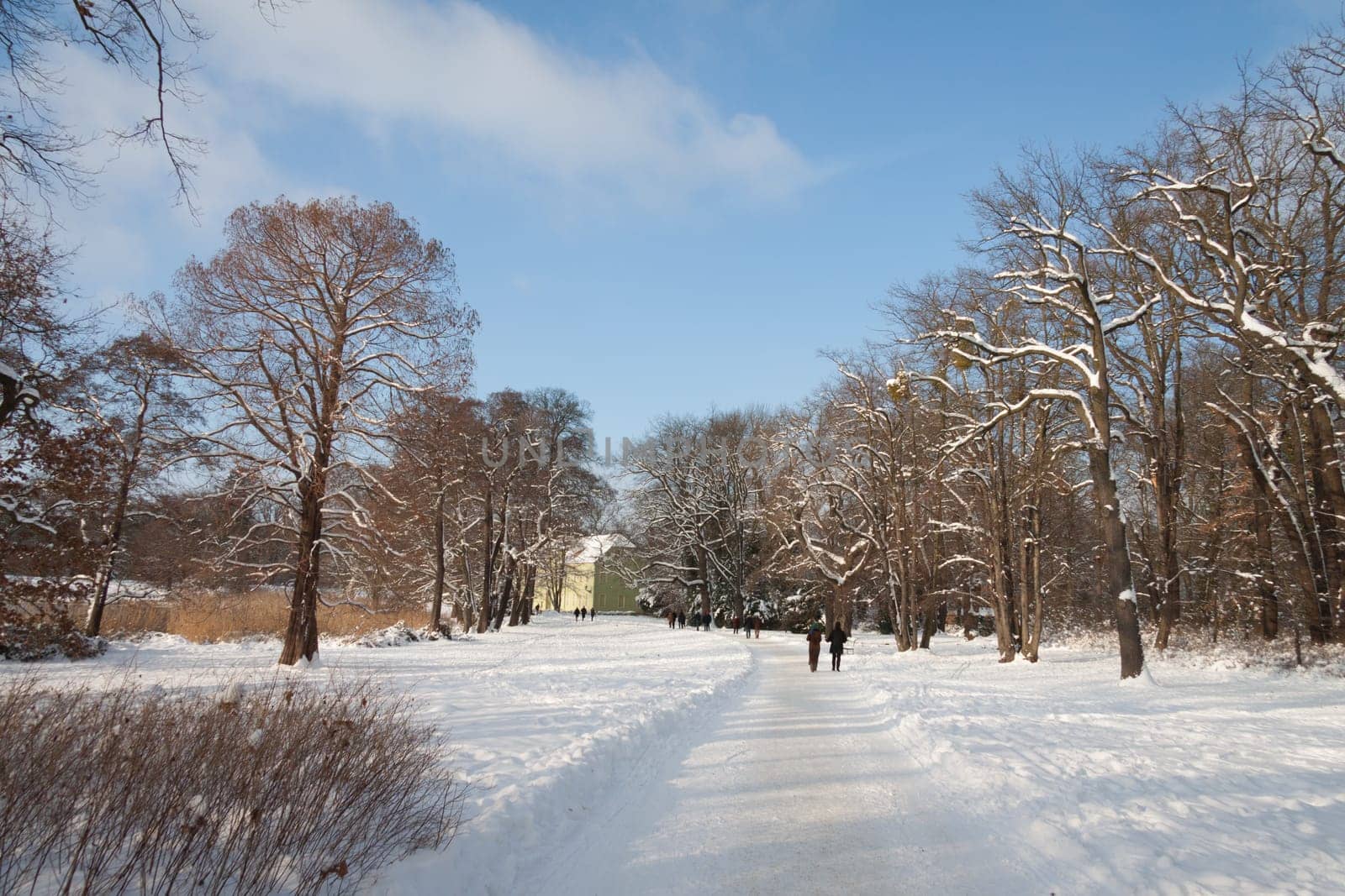 Park in the snow with passers-by