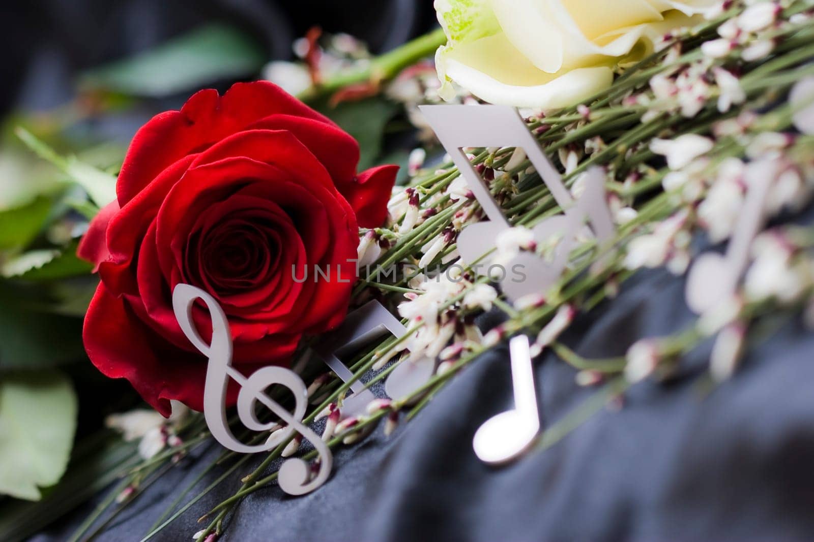 Music is my first love