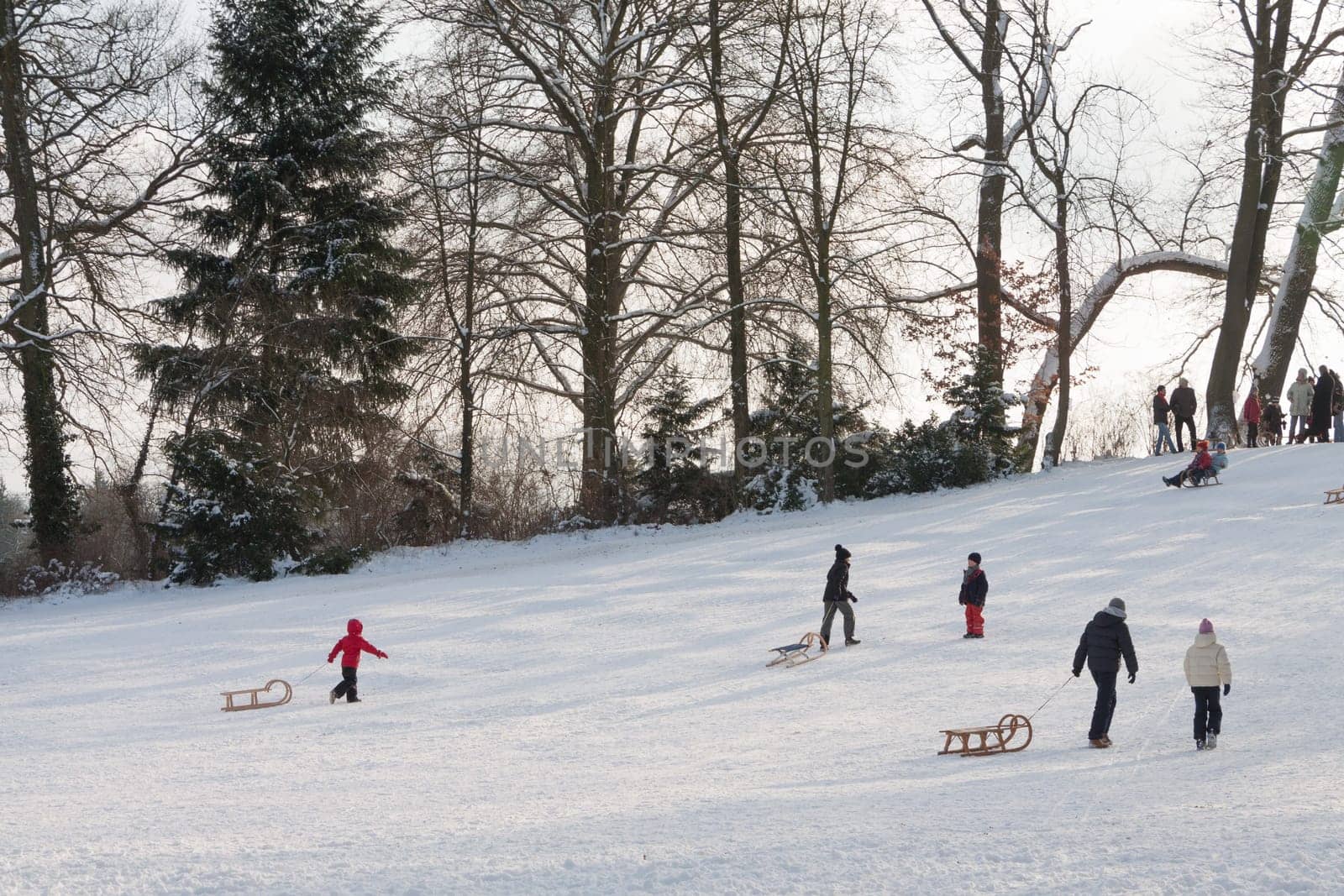 People at the Rodelberg in the Park