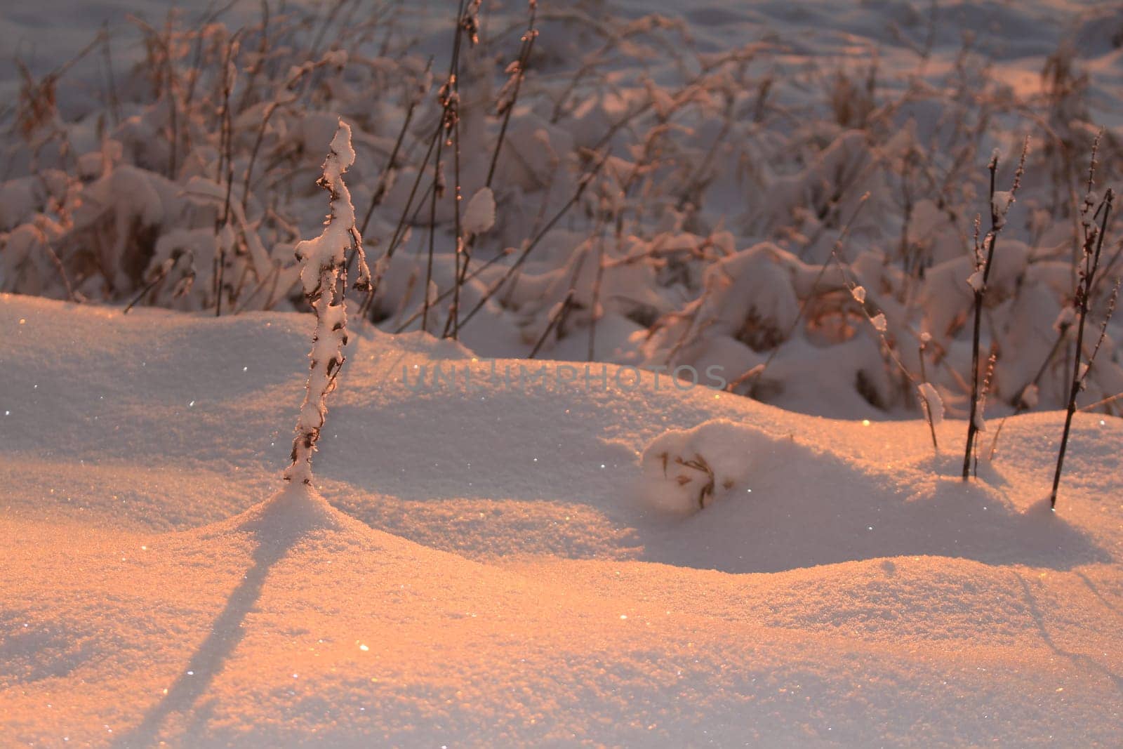 snow at sunset