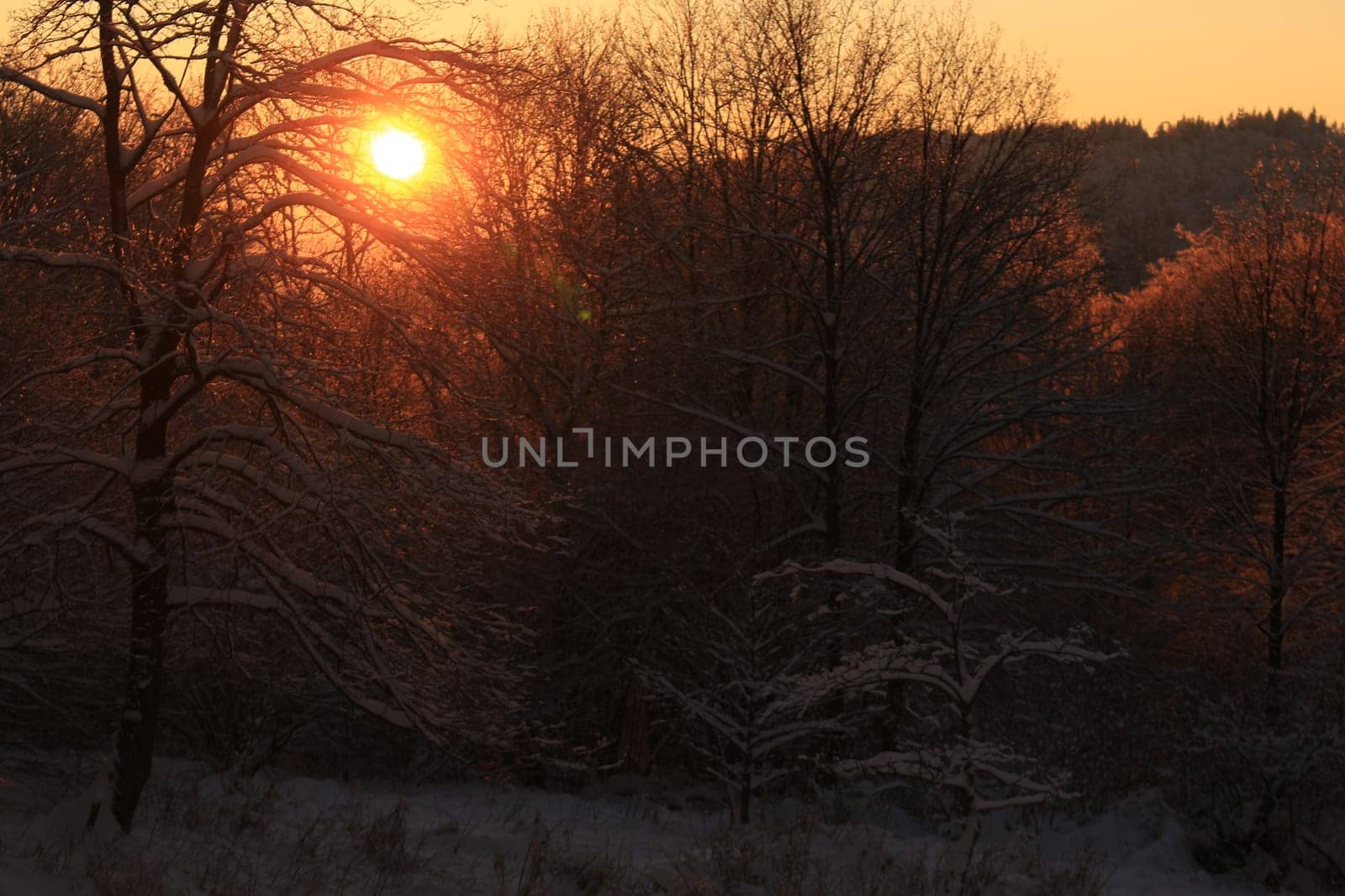 winter landscape at sunset