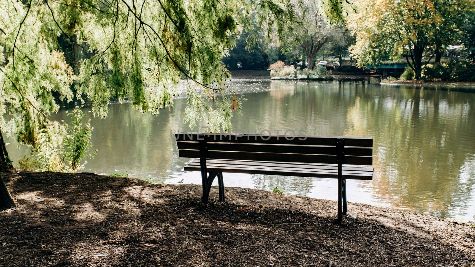Empty bench on the shore of lake framed by trees with beautiful view of the lake's coast
