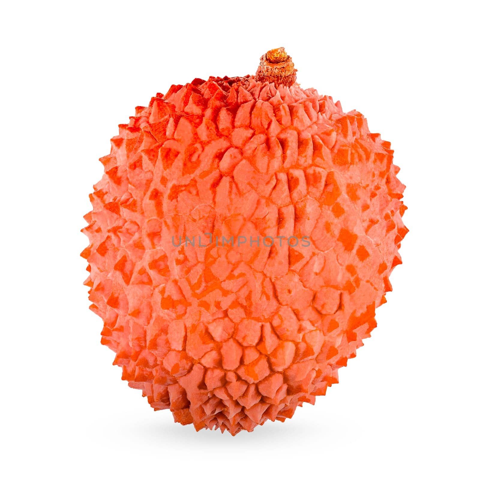 Isolated lychees. One whole ripe litchi fruit isolate on white background with clipping path for package design. Full depth of field. Healthy food concept. High resolution image