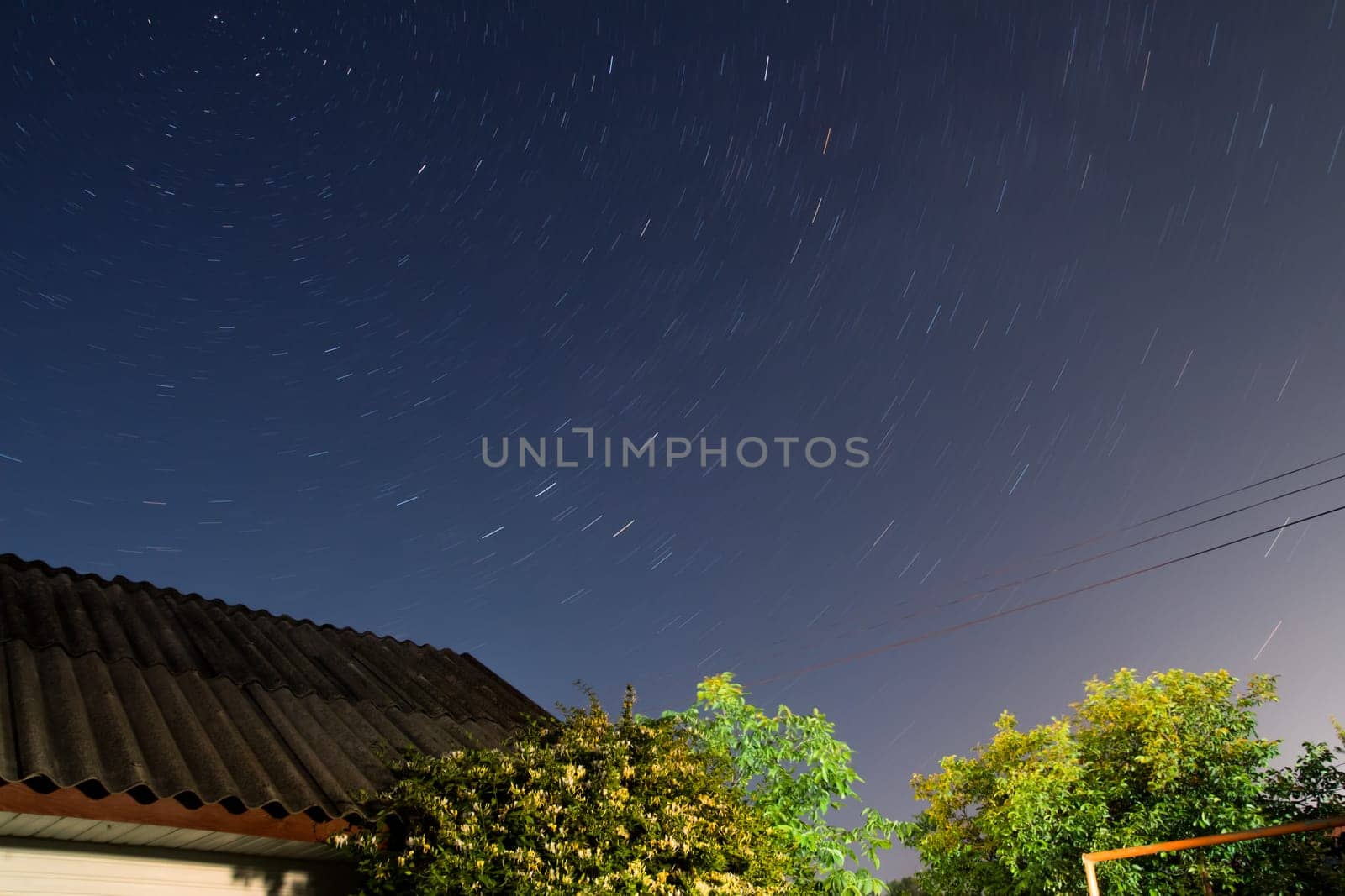 Stars at night with backlit trees