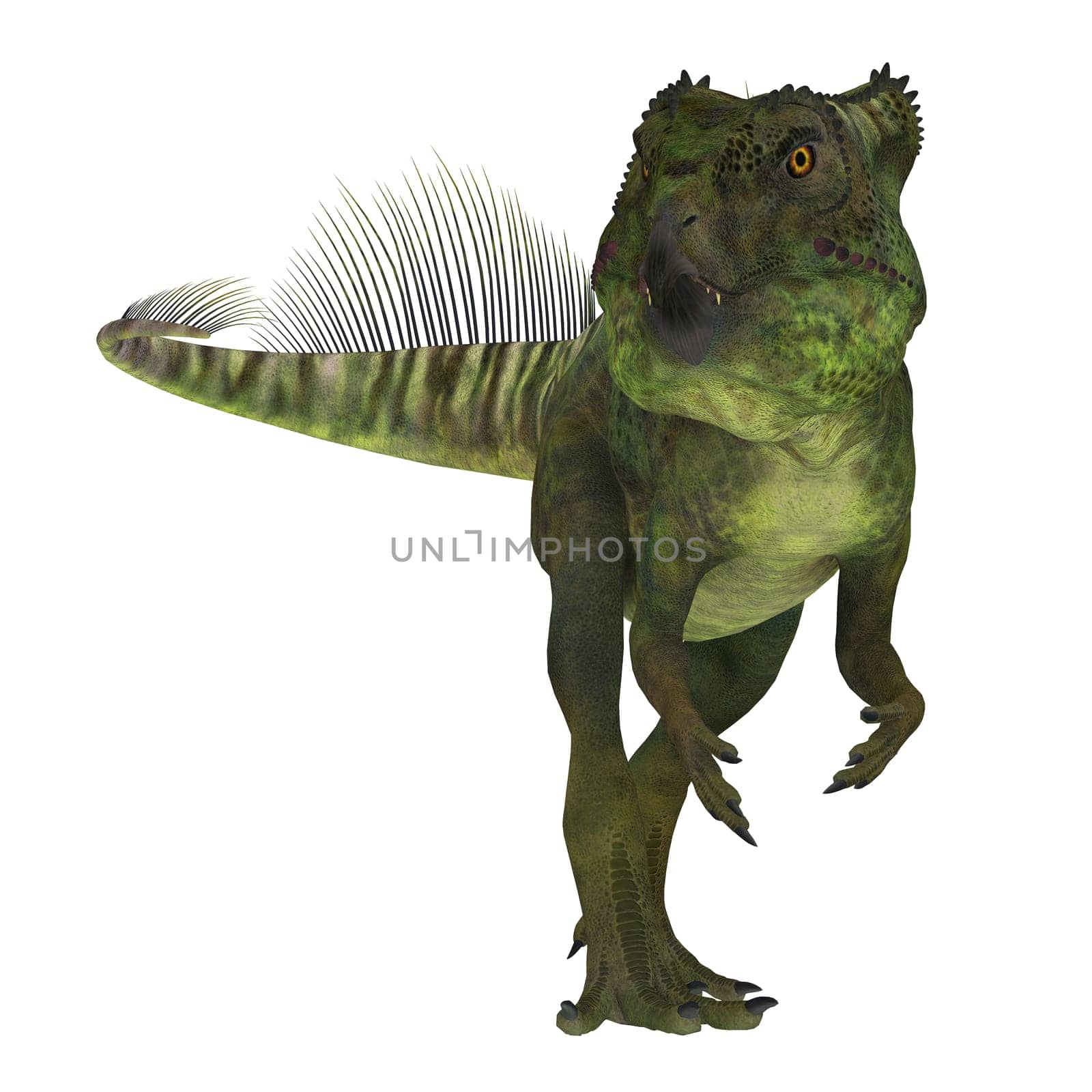 Archaeoceratops was a Ceratopsian herbivorous dinosaur that lived in China in the Cretaceous Period.