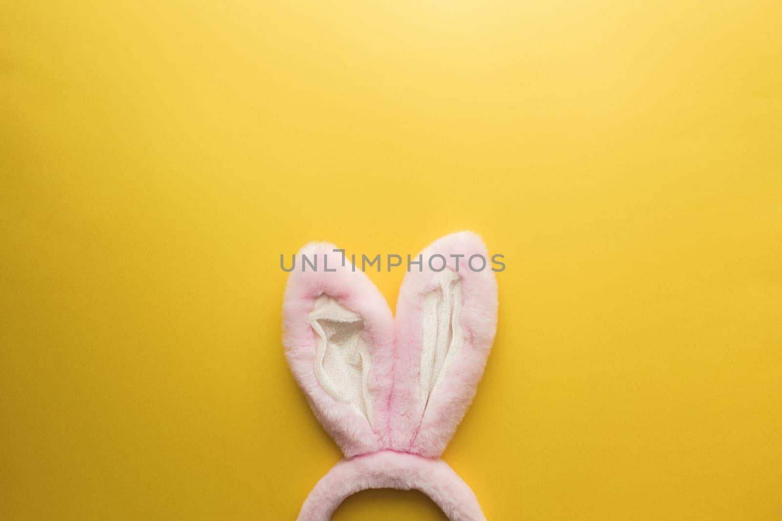 Pink Easter bunny ears on the yellow background. High quality photo