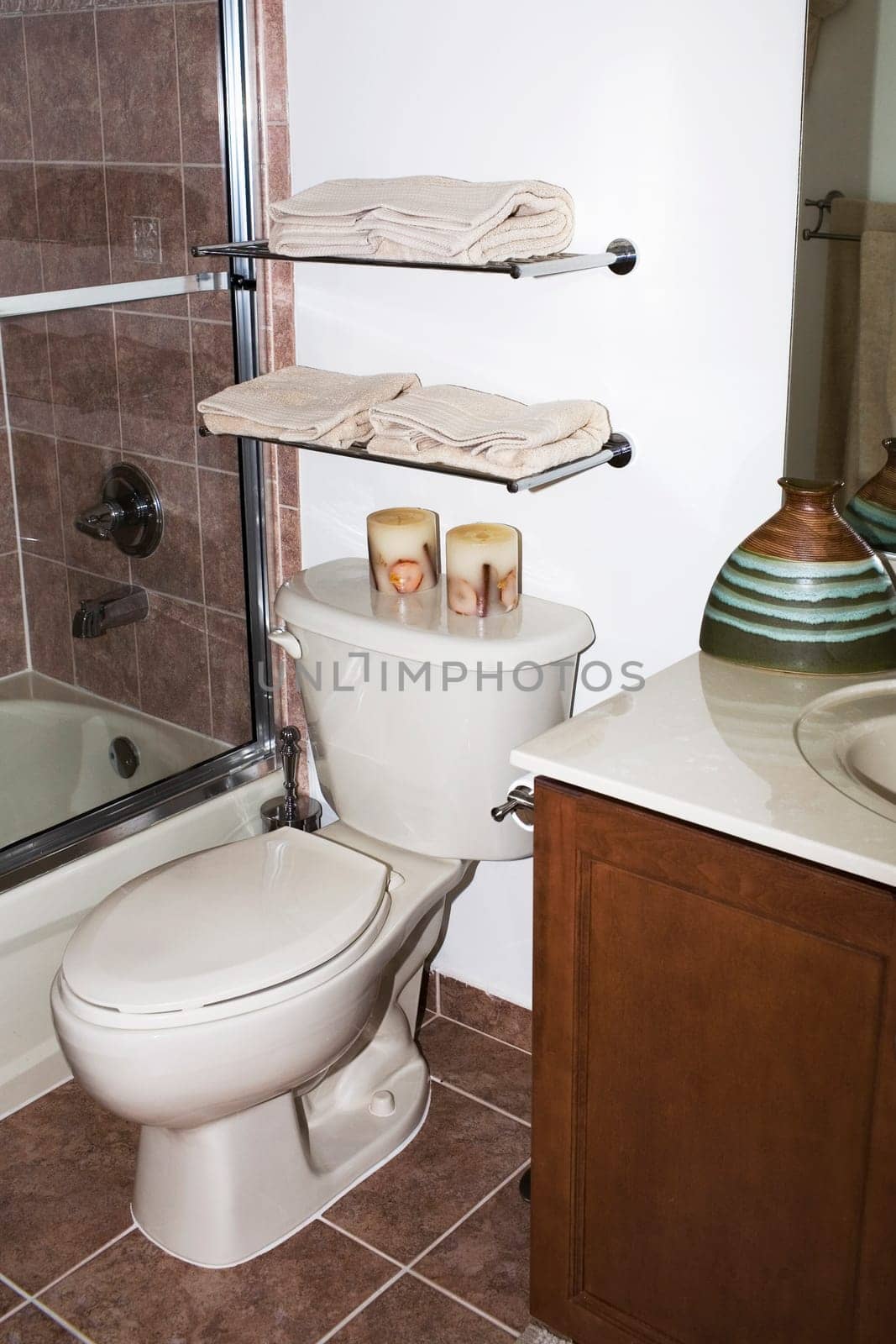 Toilet bowl in the bathroom