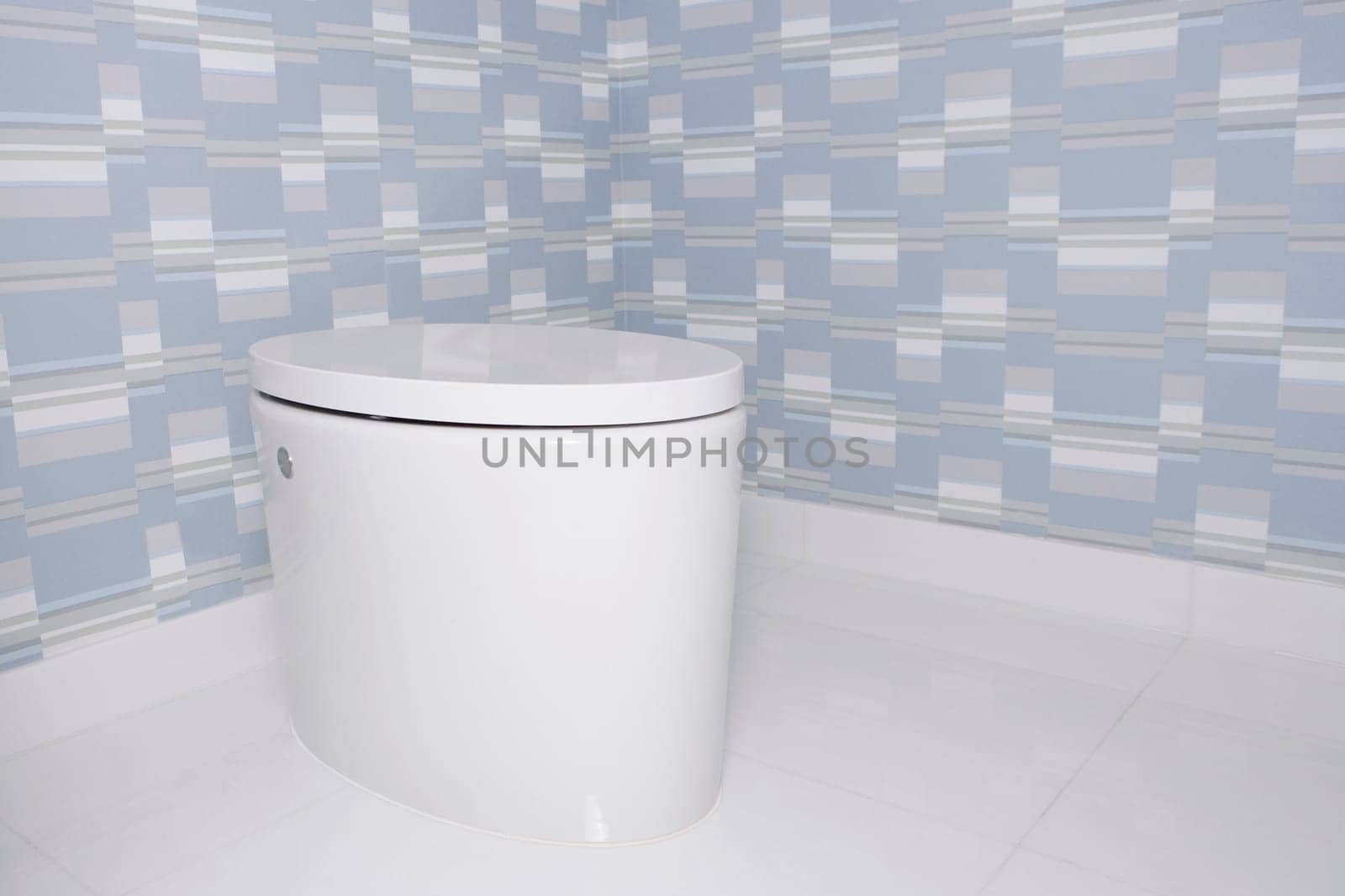 Toilet bowl in the bathroom