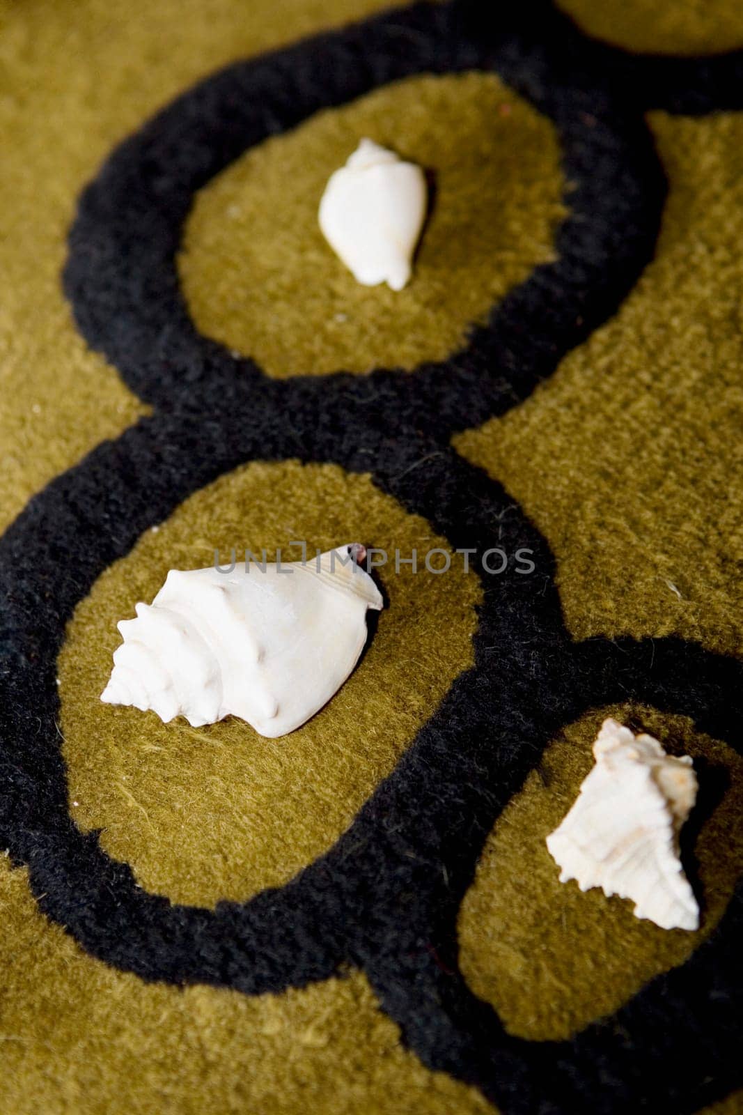 High angle view of seashells on a carpet