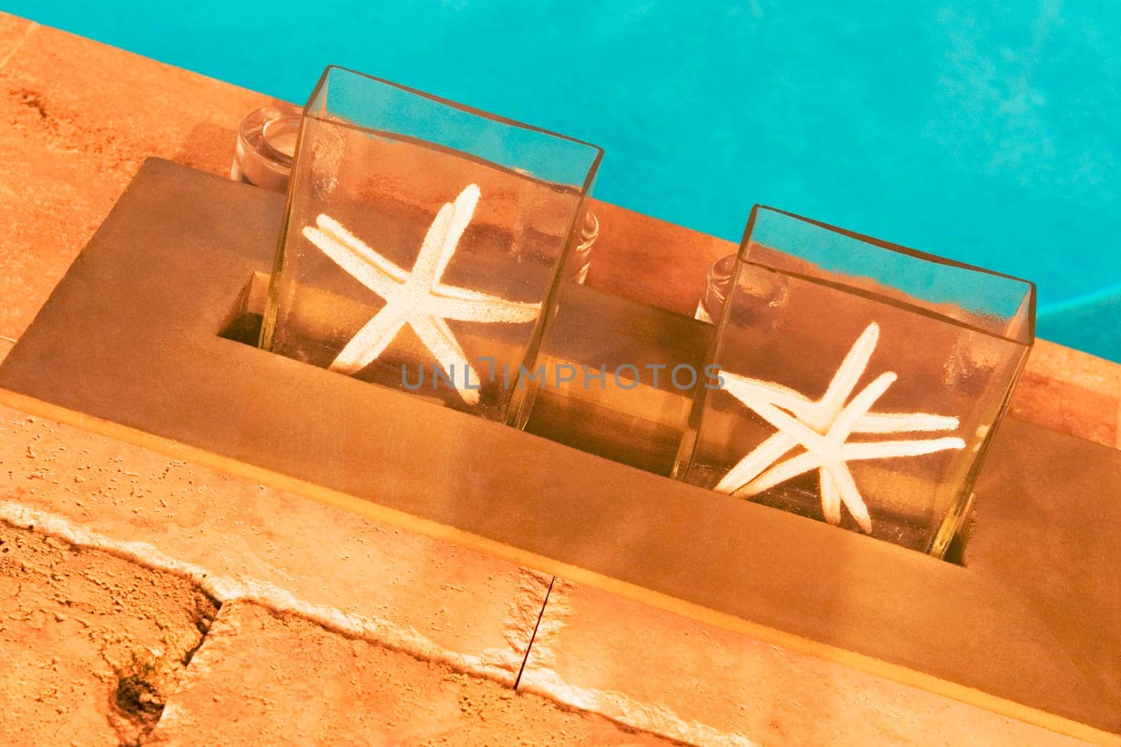 High angle view of two starfish at the poolside