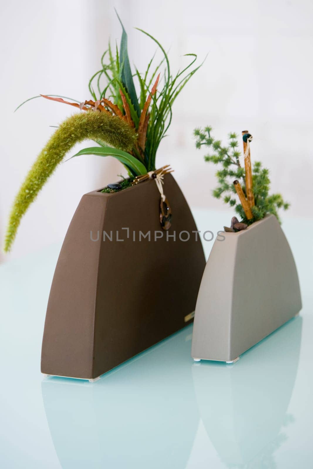 Close-up of plants in vases
