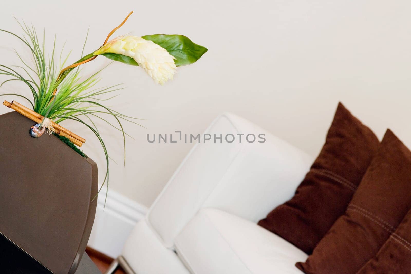 Plant in a vase