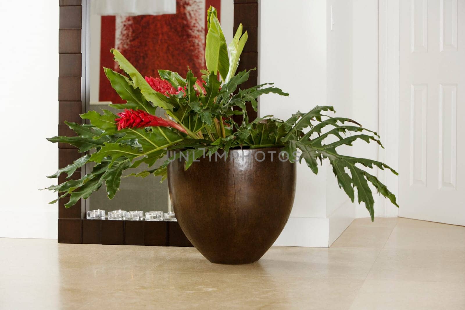 Close-up of a houseplant in front of a mirror
