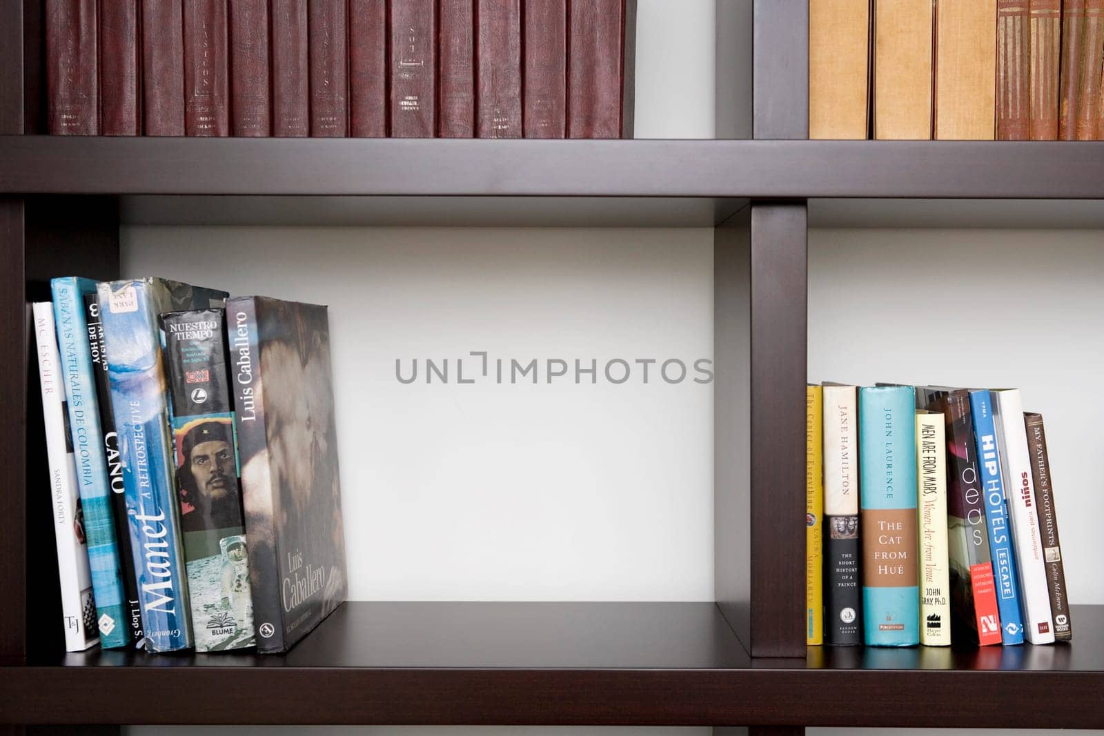 Close-up of books in shelves
